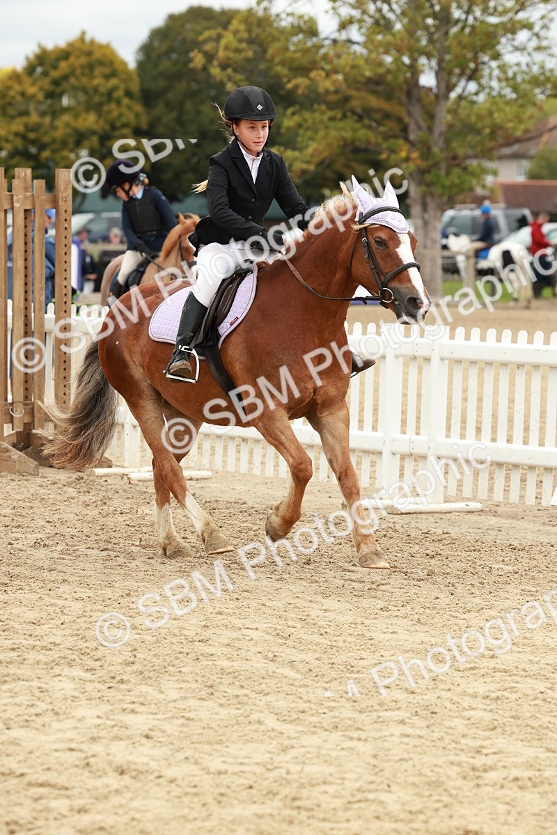 SBM_67053 - J13 - Junior Pony 60cm Championship