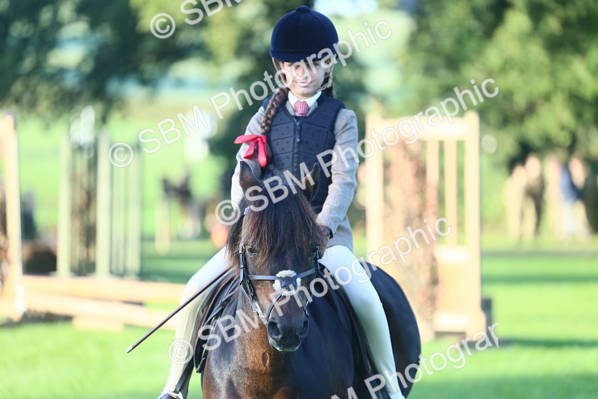 SBM_37309 - S29 - Novice & Newcomers Working Hunter Pony