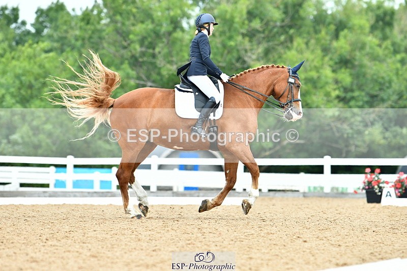 230701A-130208-06209 - Cls 8 Elementary 57