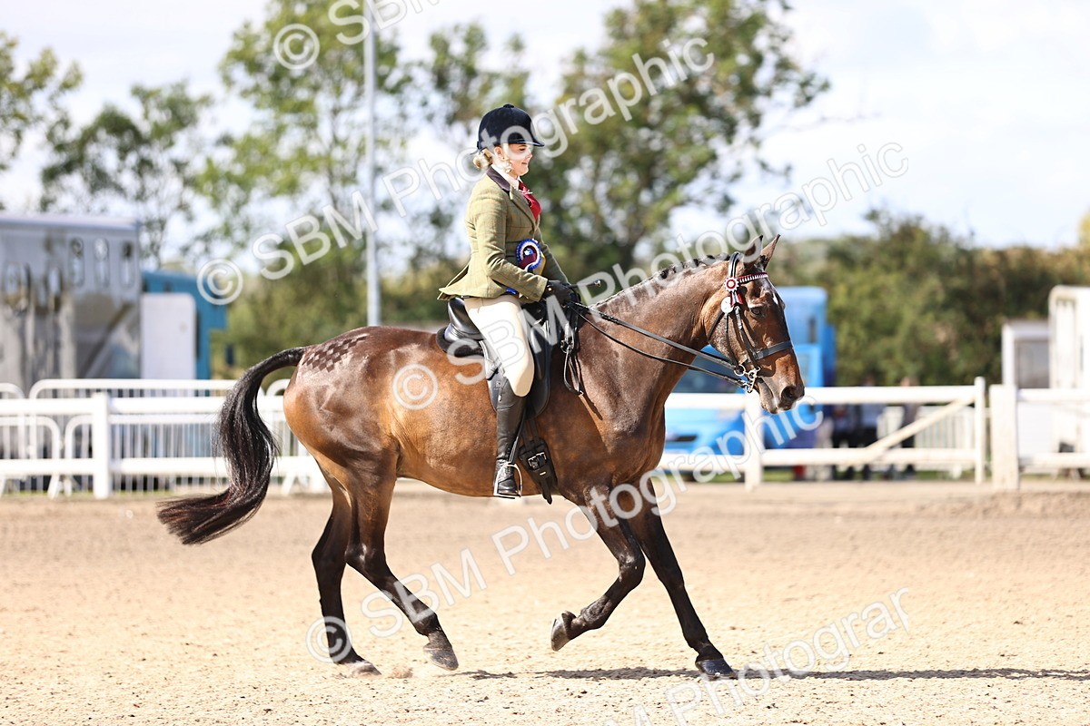SBM_13000 - Class 410 - Grassroots Ridden - Horse