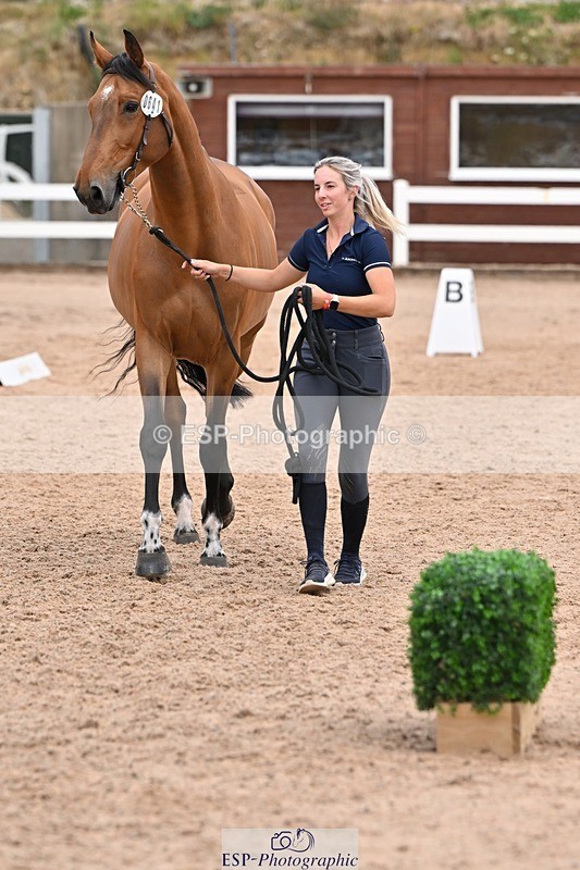 250716-143408-01212 - Trot Up 2.30 to 3.30