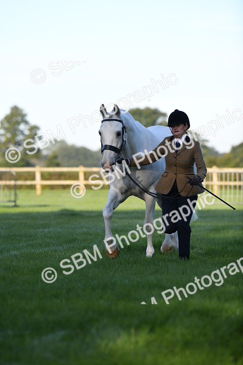 SBM_32754 - S15 - Condition & Turnout In Hand
