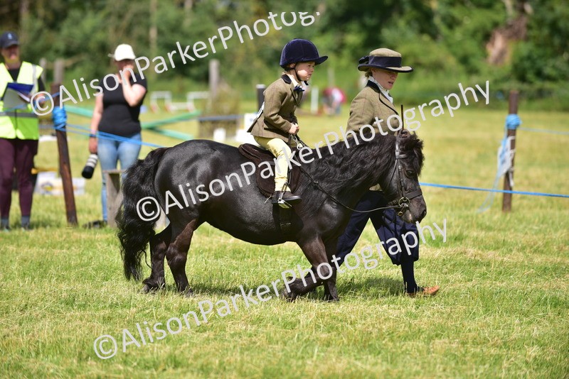 20260614-1186 - Class 11a - Lead Rein Pony (Unplaited)