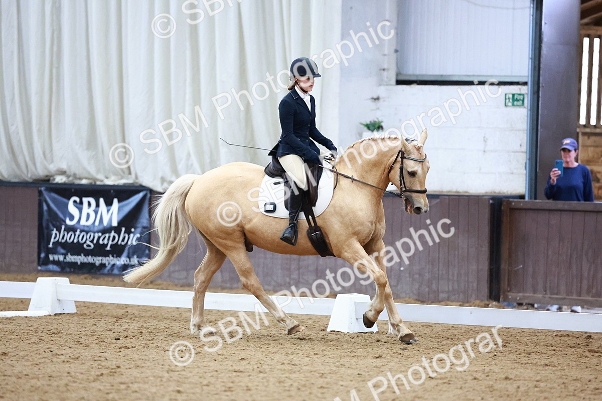 0B8A8290 - Class 5 - Novice 2