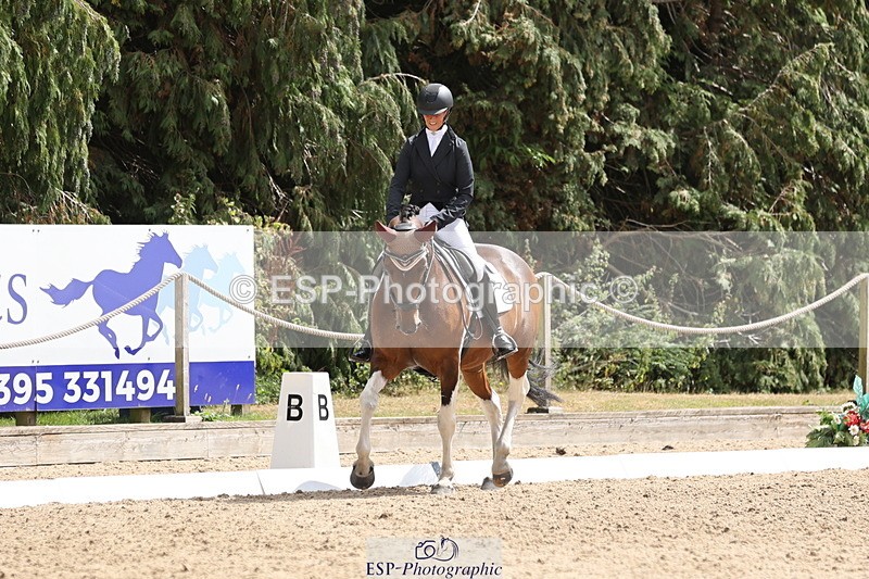 250809A-141620-03937 - 122-Lorraine.MorrisLissyegan.coloured.lady