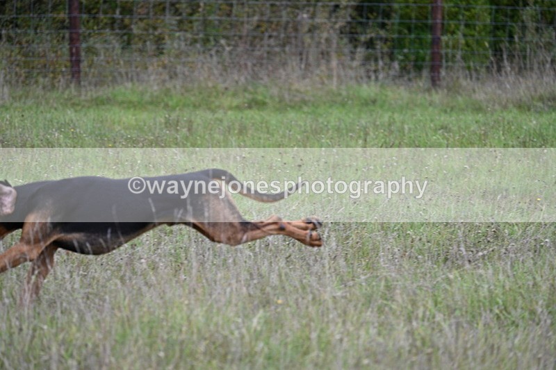 WJ7_3526 - Camera 1 Line 1