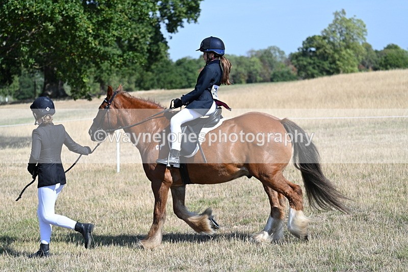 WJ7_3020 - Class 8 Ridden Tack & Turnout