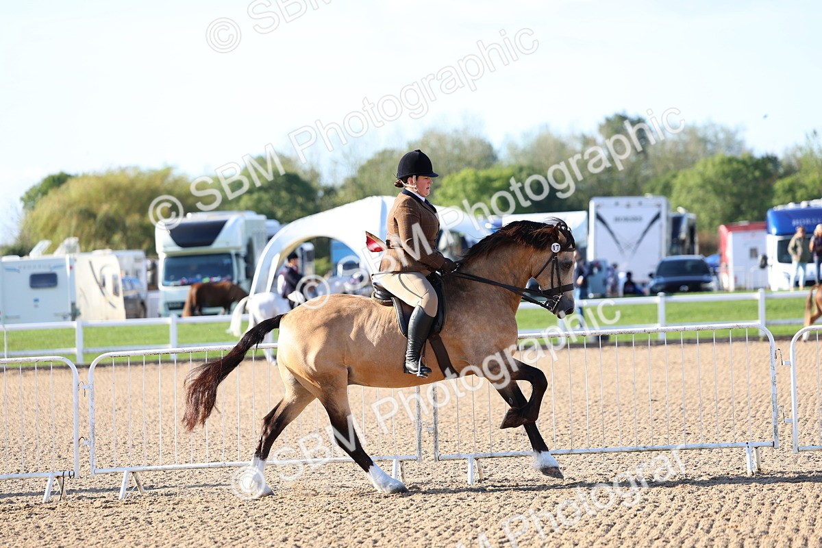 SBM_08765 - Class 302 - Ridden M&M - Large Breeds