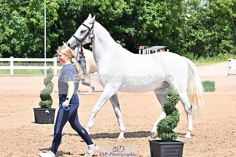 240718A-105315-01766 - Trot Up 1pm to 2pm