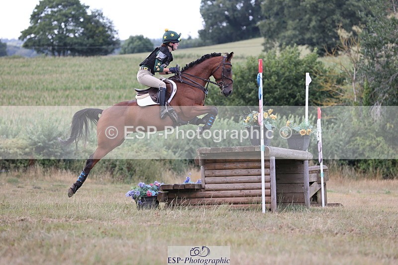 250802A-175844-08641 - H-353-Nancy.Wilson.Connell-BLUESTONE.BUTTERFLY