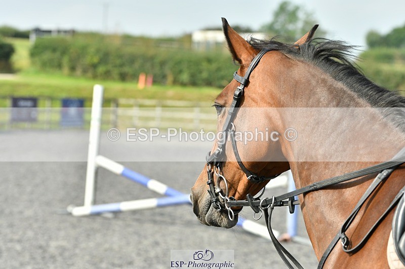 230817-102419-00384 - Theo's 2nd Group - Arena