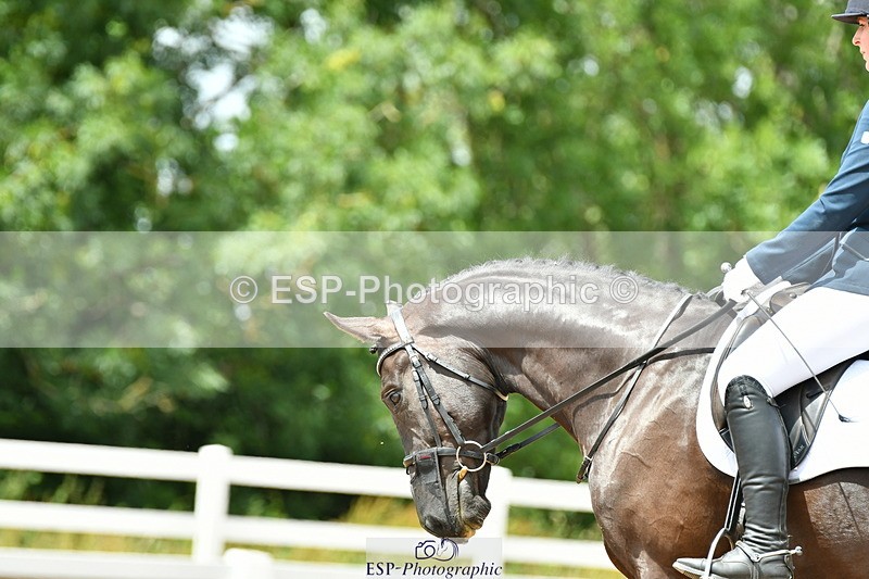 230702A-133127-09530 - Cls 29 Elementary 57