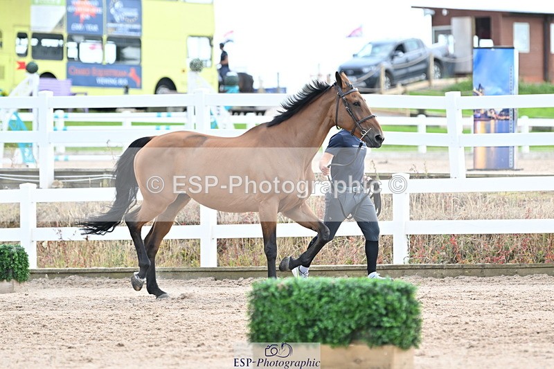 240717A-143622-02144 - Trot Up 2pm to 3pm - This folder is not in time order