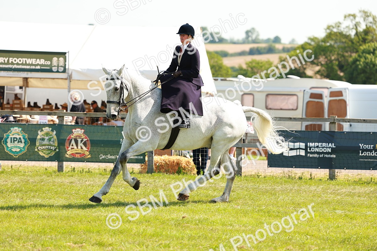 SBM_13168 - Class 70-71 - Side Saddle