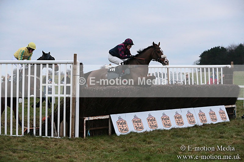 PtP 060119 579 - Larkhill Racing Club - Point-to-Point- 06/01/2019