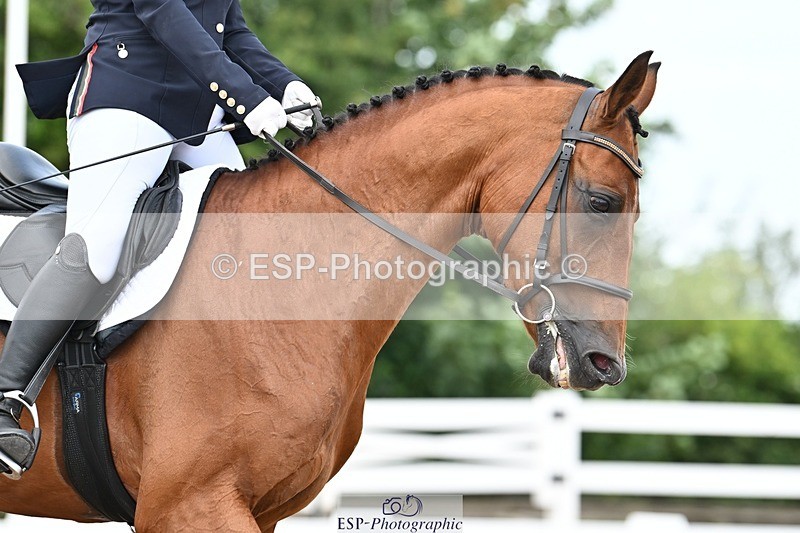 250620-111306-01847 - BD Cls 5 - Novice 6, Start to 12.10pm