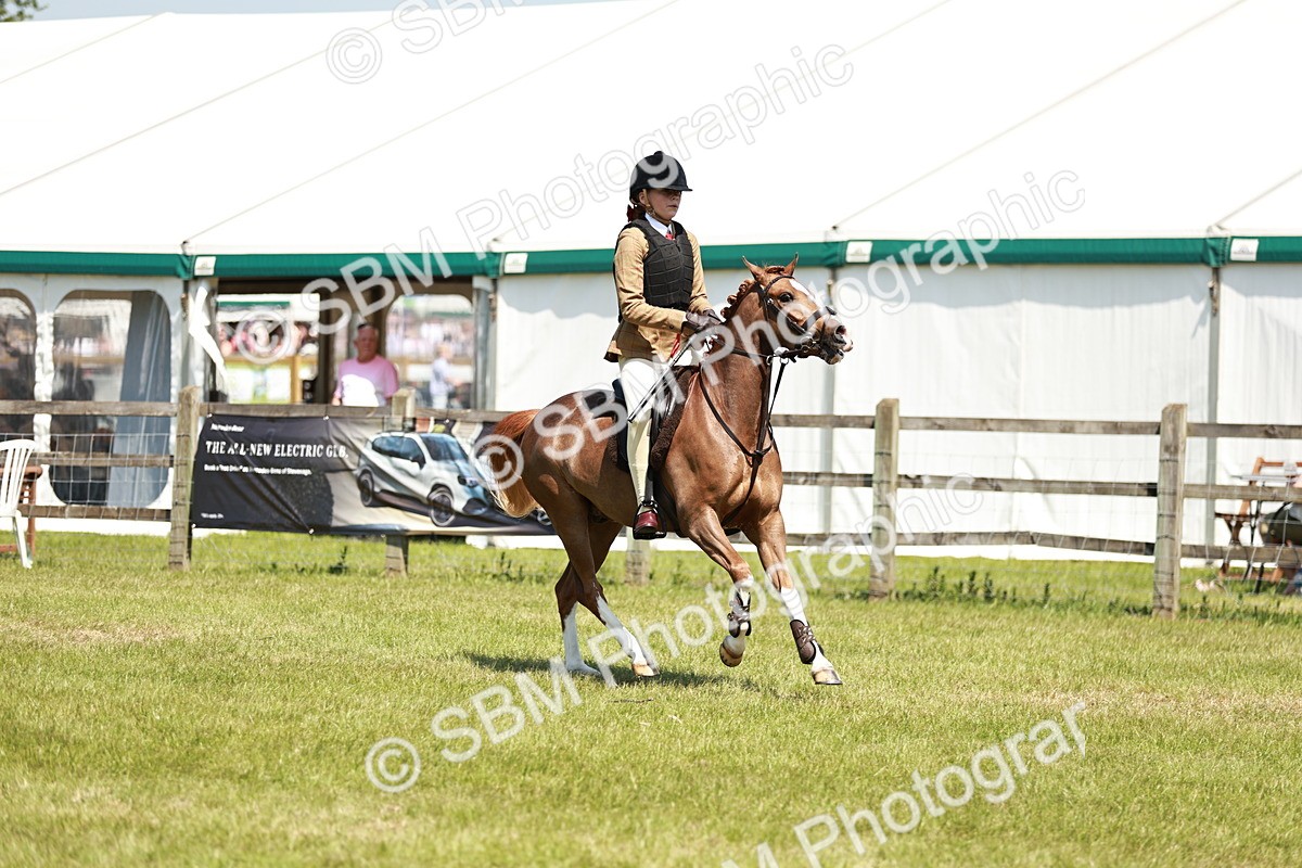 SBM_15639 - Class 108-109 - BSPS LIHS Open Gradle & Nursery Stakes