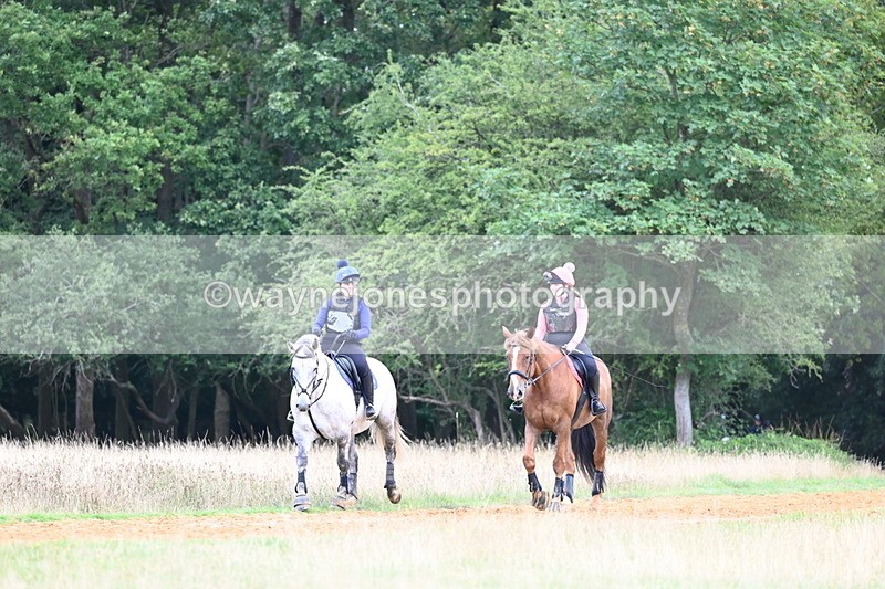 DSC_6739 - Time at Statue 12:45 to 13:15