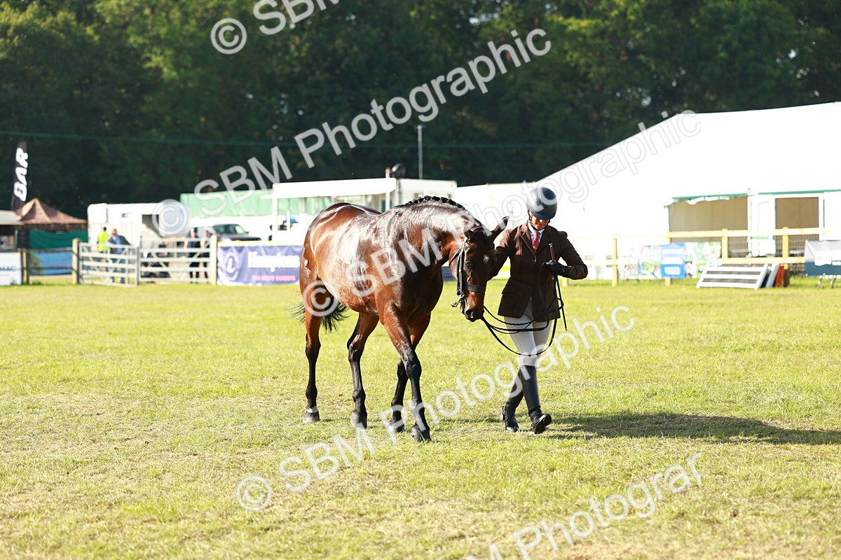 SBM_10800 - Class 66-69 - RIHS Ridden Hunters Inc Small Hunter