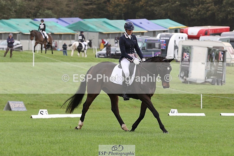 231019-102551-02313 - 603-KILBUNNY.BLUE.BIRD-Claire.Deuten-DR