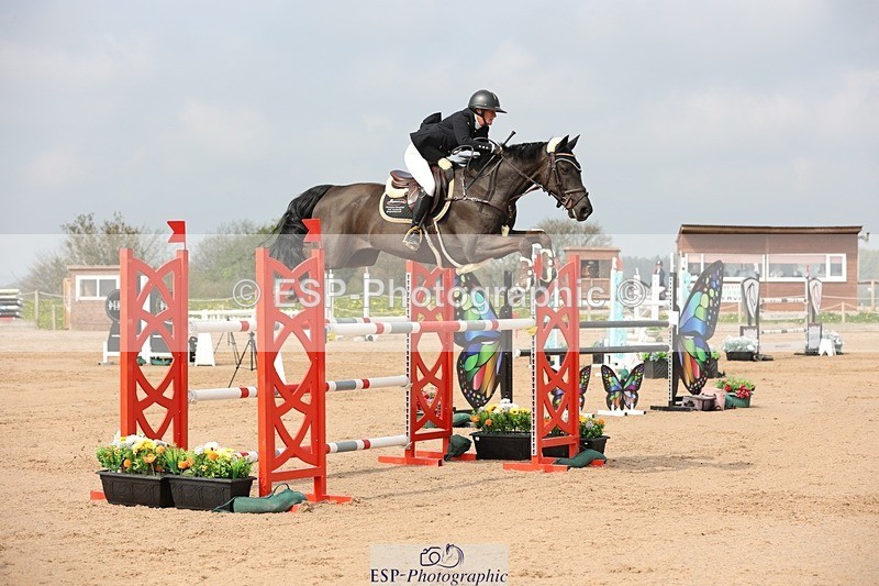 250424-104416-03195 - Cls 33 Young Horse 7yr old