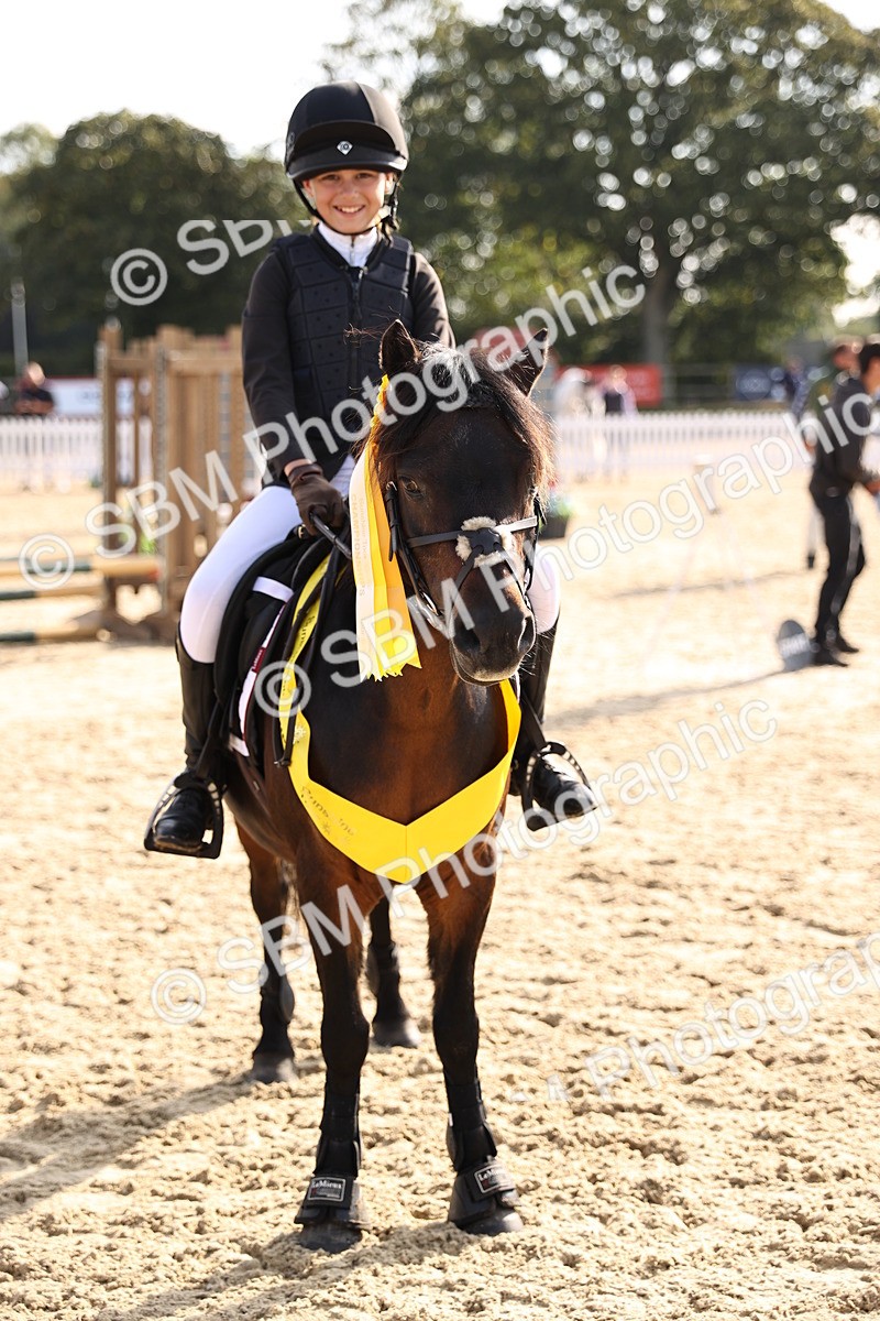 SBM_59751 - J11 - Junior Pony 50cm Championship