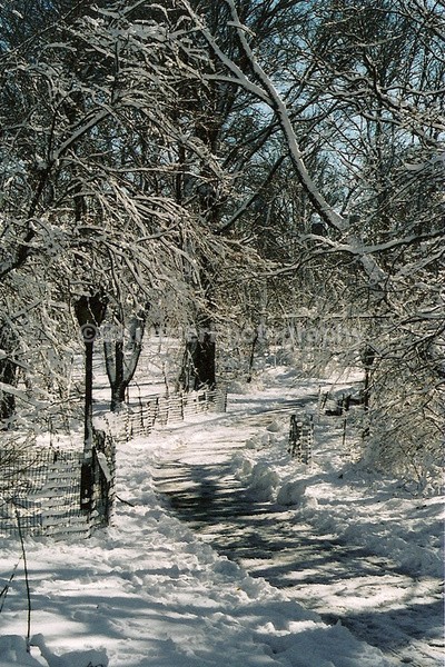  - Central Park