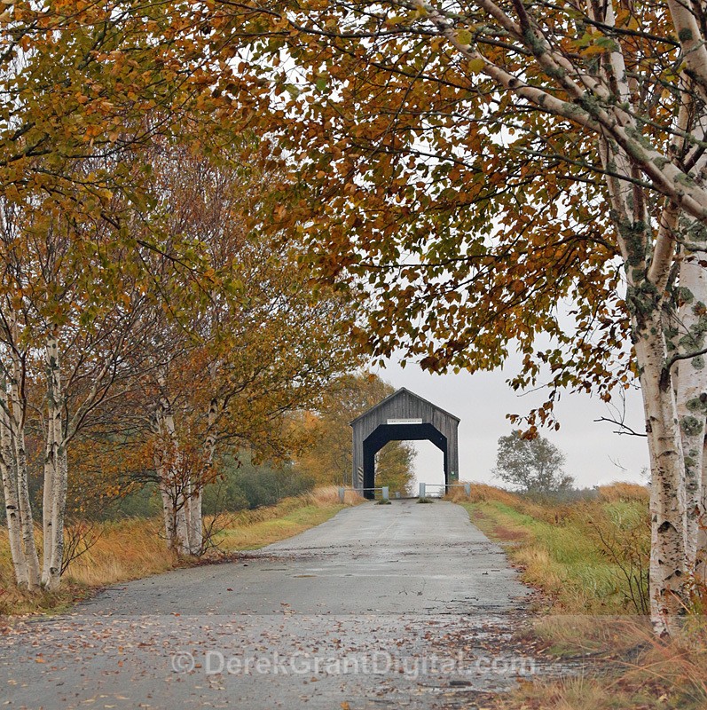 Covered Bridges of New Brunswick - New Brunswick Landscape