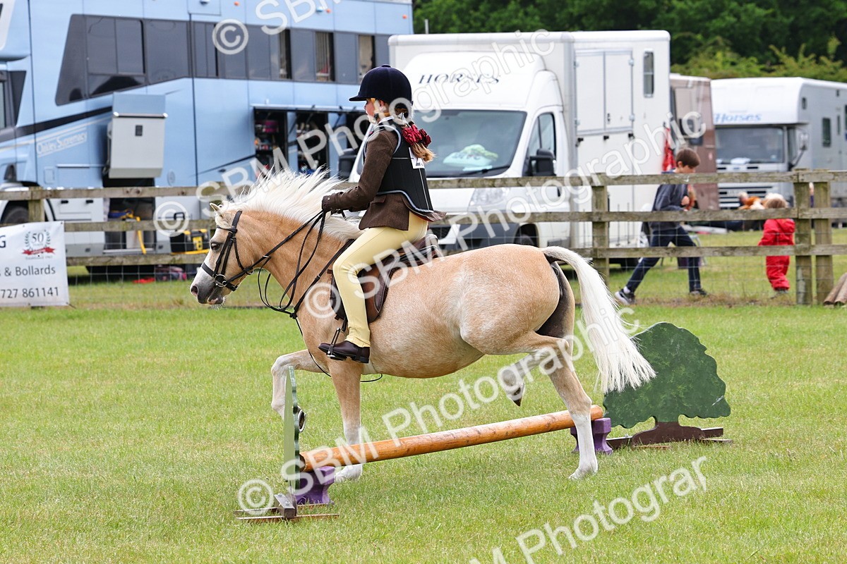SBM_08583 - Class 42-43 - LIHS BSPS Heritage Working Sports Pony