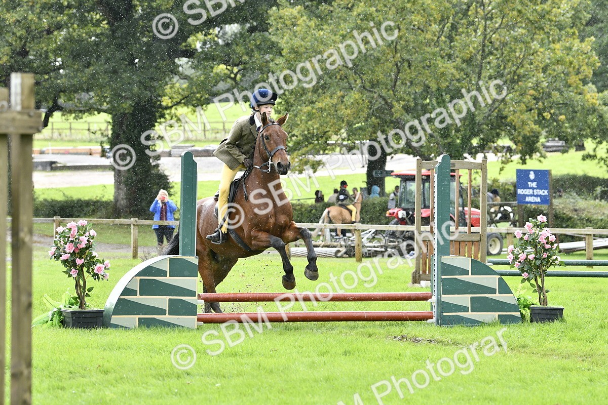 SBM_41411 - S32 - Mountain & Moorland Working Hunter Pony