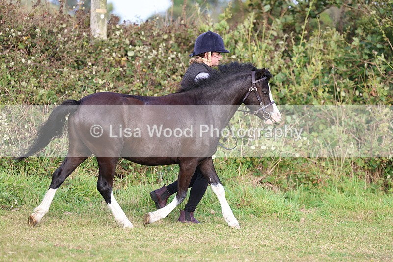 3E7A3144 - Class 12: M & M Small Breeds