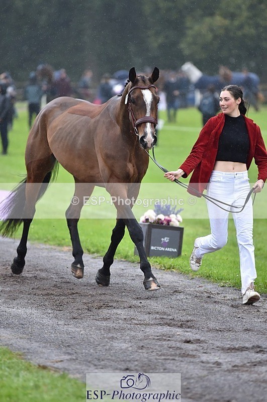 231018-121454-00161 - 065-SIR.HENRY.HALL-Jess.Rimmer-TrotUp