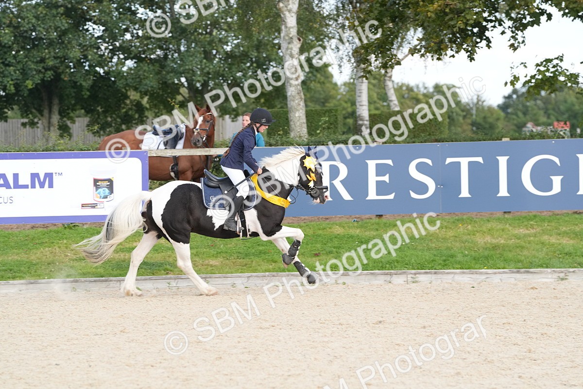 SBM_48910 - J22 - Junior Horse 65cm Championship