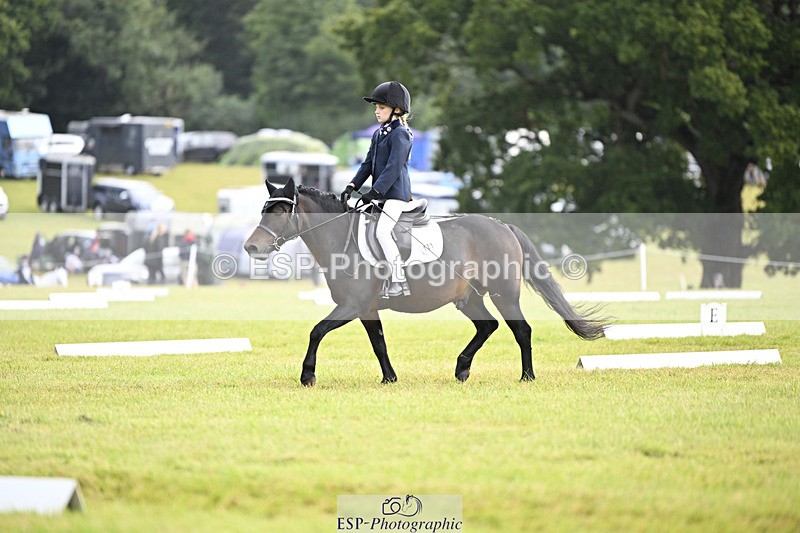 240824X-110409-25693 - D80 Section E and F 11.00 to 12.00