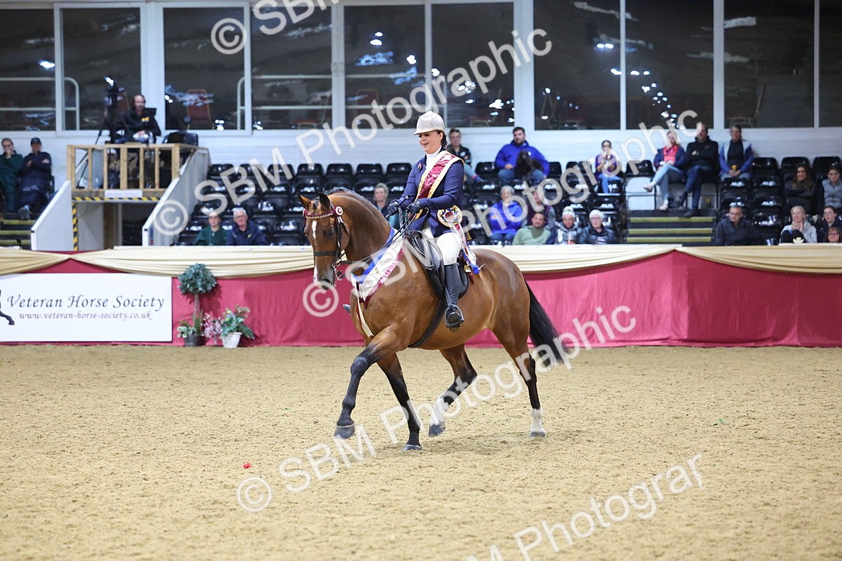 SBM_19195 - Class I Competition/ Riding Club Champ