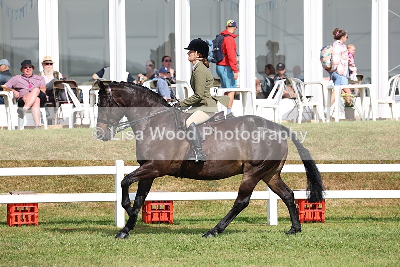 3E7A8893 - Class 3: Rising Star S/L Hunter