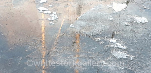  - NEW Winter Reflection