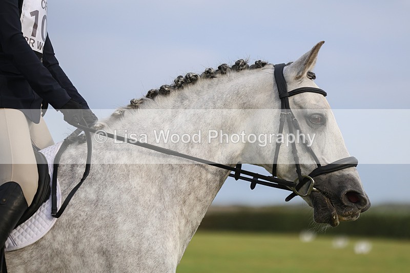 3E7A5014 - Class 1: Trebudannon Open: Dressage