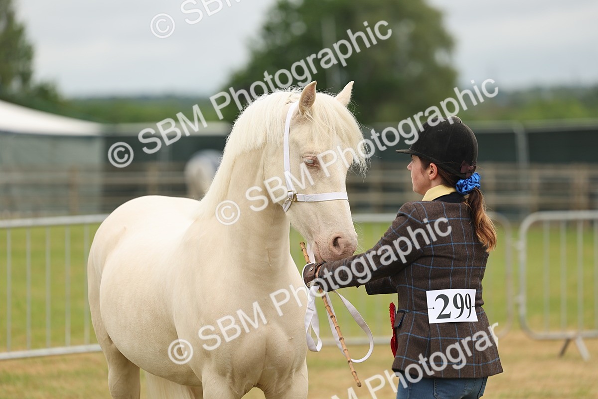 SBM_02441 - Class 50-57 - M&M Welsh Pony In Hand