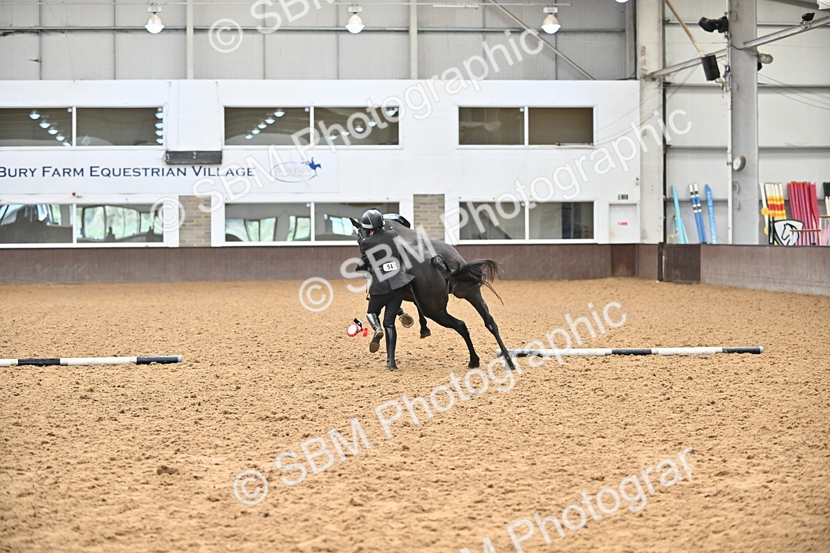 SBM_000810 - Class 16 - In Hand Showing Supreme Championships