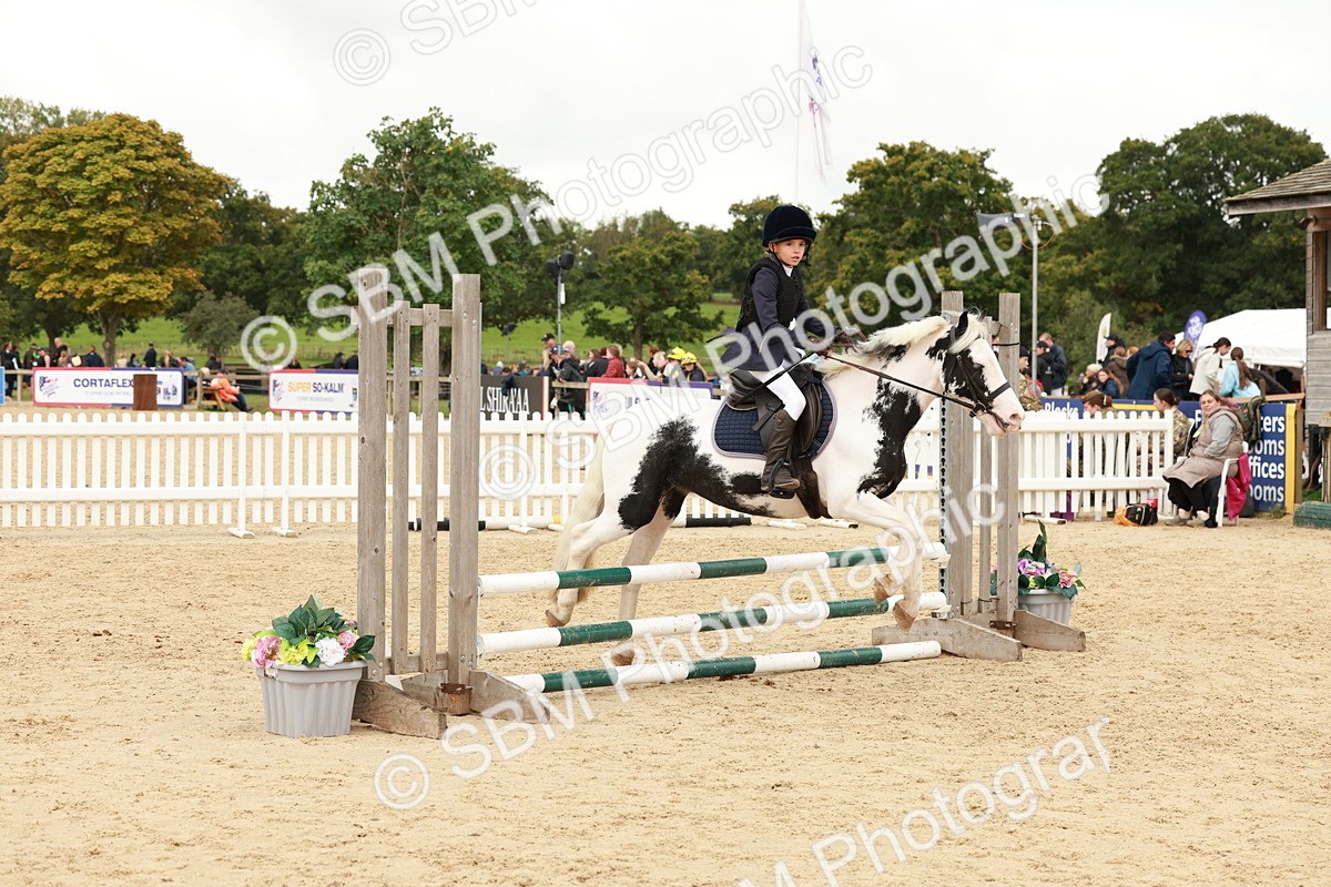 SBM_62134 - J12 - Junior Pony 55cm Championship