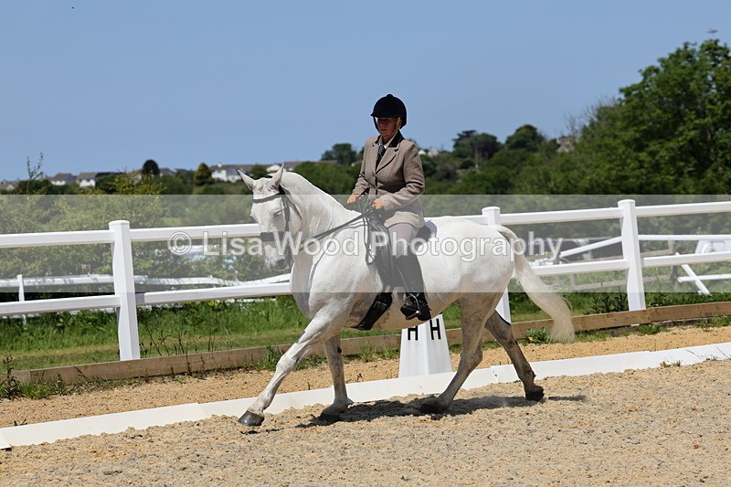 1X9A1753 - Class 11: Ridden Cob