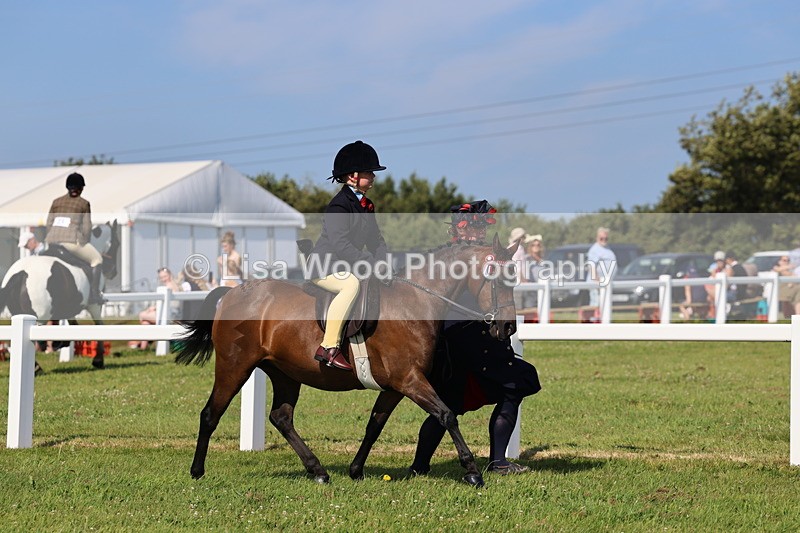 IMG_1713 - Class 31: Lead Rein SP/SHP