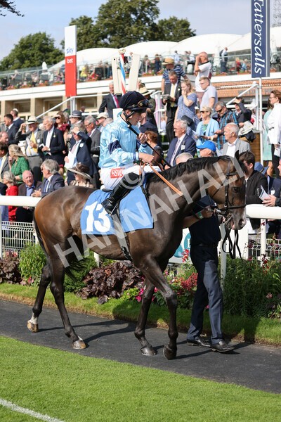 yr18082021r5-13 - Race 5 4.10pm Sky Bet Stakes