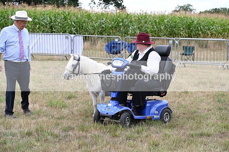 WJ6_6027 - Class 19 In-hand Veterans (Uploaded correct folder)
