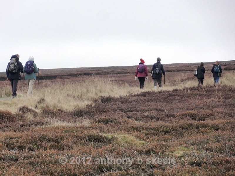 102 Crossing the moor by Oakley Side - York Minster Walkers Collection 2024