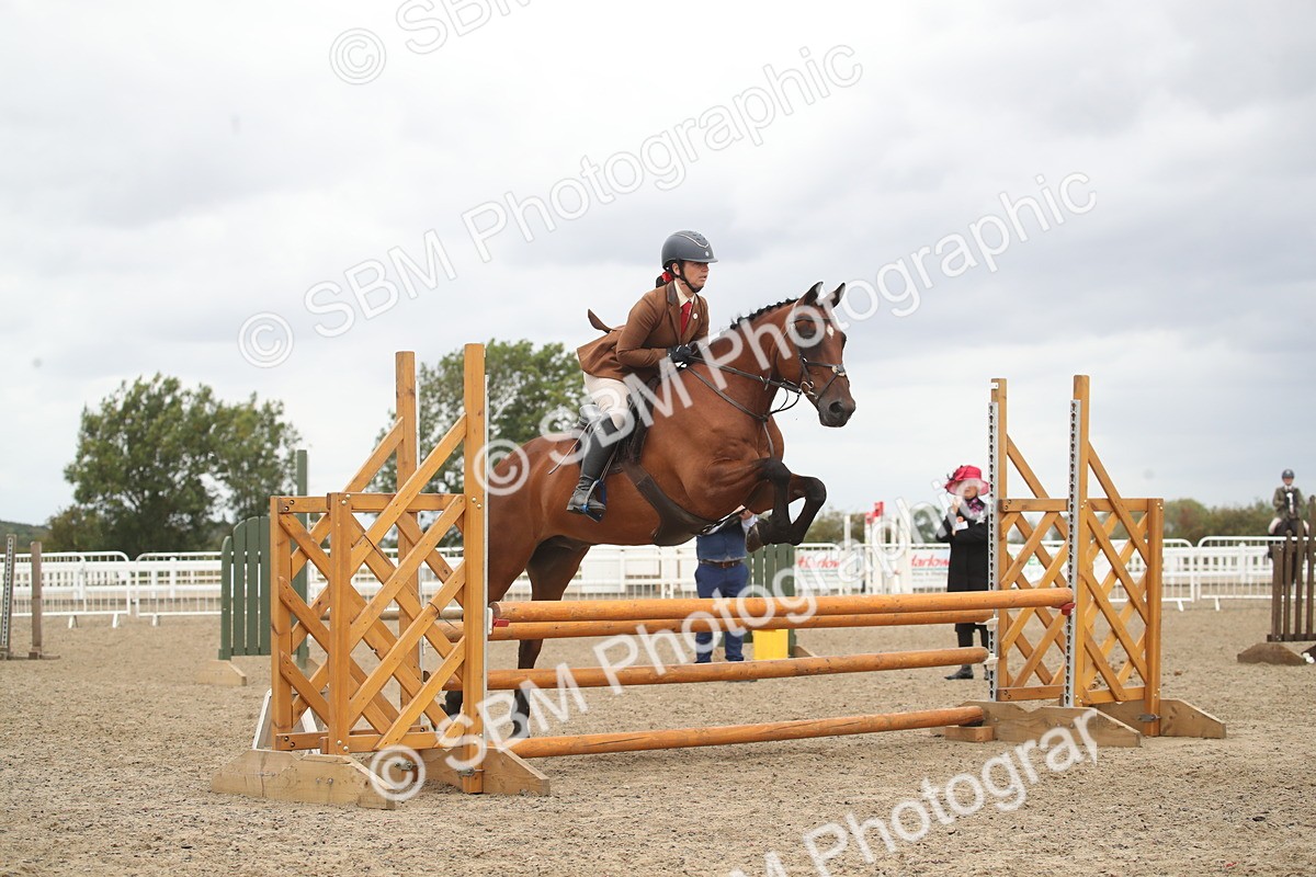 SBM_18393 - Class 509B - Working Veteran - 80cm (20+)