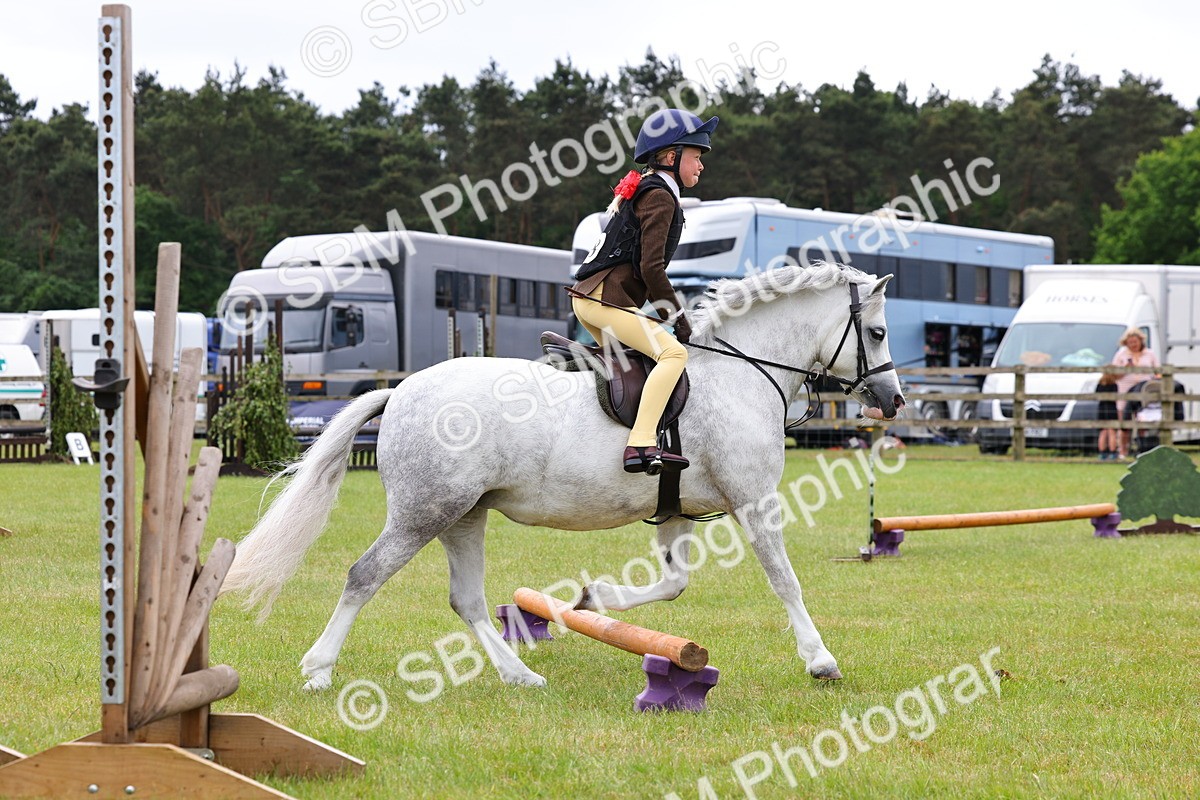 SBM_08626 - Class 42-43 - LIHS BSPS Heritage Working Sports Pony