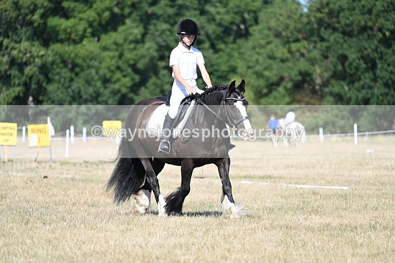 WJ7_9551 - Time 10:32 to 10:55