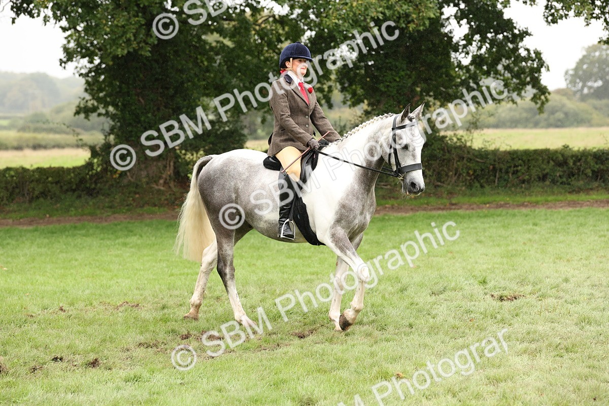 SBM_69872 - S68 - Other Coloured Horse Ridden